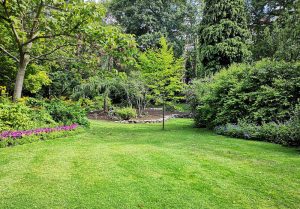 Optimiser l'expérience du jardin à La Chapelle-sous-Uchon